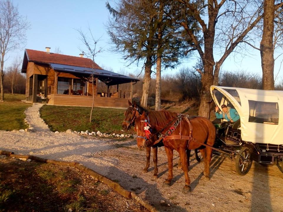 Evergreen House Plitvice Rakovica Luaran gambar